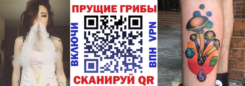 Галлюциногенные грибы Psilocybe  Балтийск 