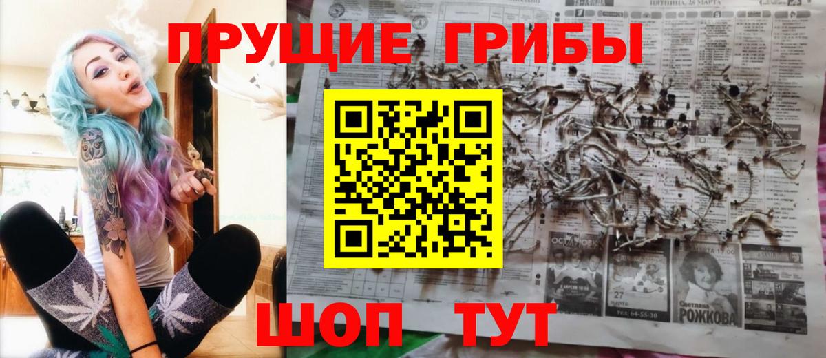 Псилоцибиновые грибы мицелий  Балтийск 