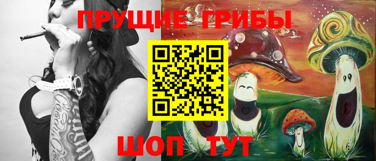 Балтийск  Галлюциногенные грибы Psilocybe  Псилоцибиновые грибы Psilocybine cubensis  Вход с VPN 